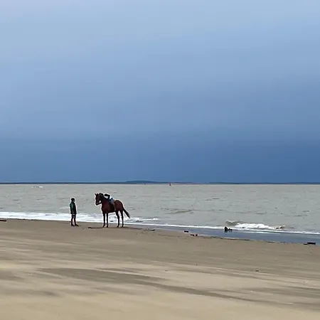 Ferienhaus Mobile Cc995 Near Swimming Pool - Les Charmettes