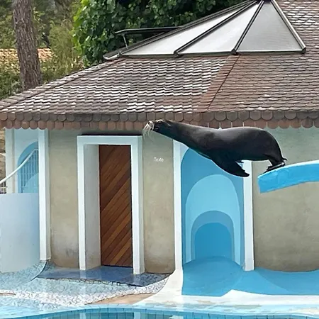 Casa vacanze Mobile Cc995 Near Swimming Pool - Les Charmettes Les Mathes