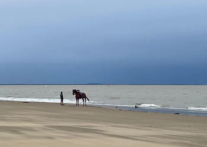 Feriehus Mobile Cc995 Near Swimming Pool - Les Charmettes