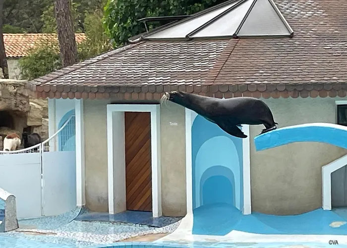 Feriehus Mobile Cc995 Near Swimming Pool - Les Charmettes Les Mathes